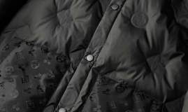 Picture of Louis Vuitton Down Jackets _SKULVM-3XL25wr10237665